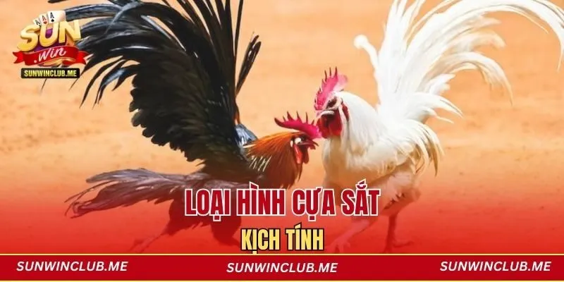 Loại hình cựa sắt kịch tính