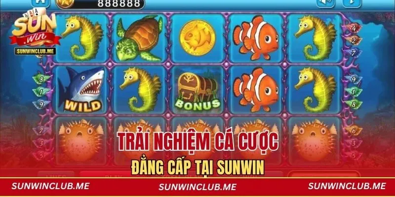 Trải nghiệm cá cược đẳng cấp tại Sunwin